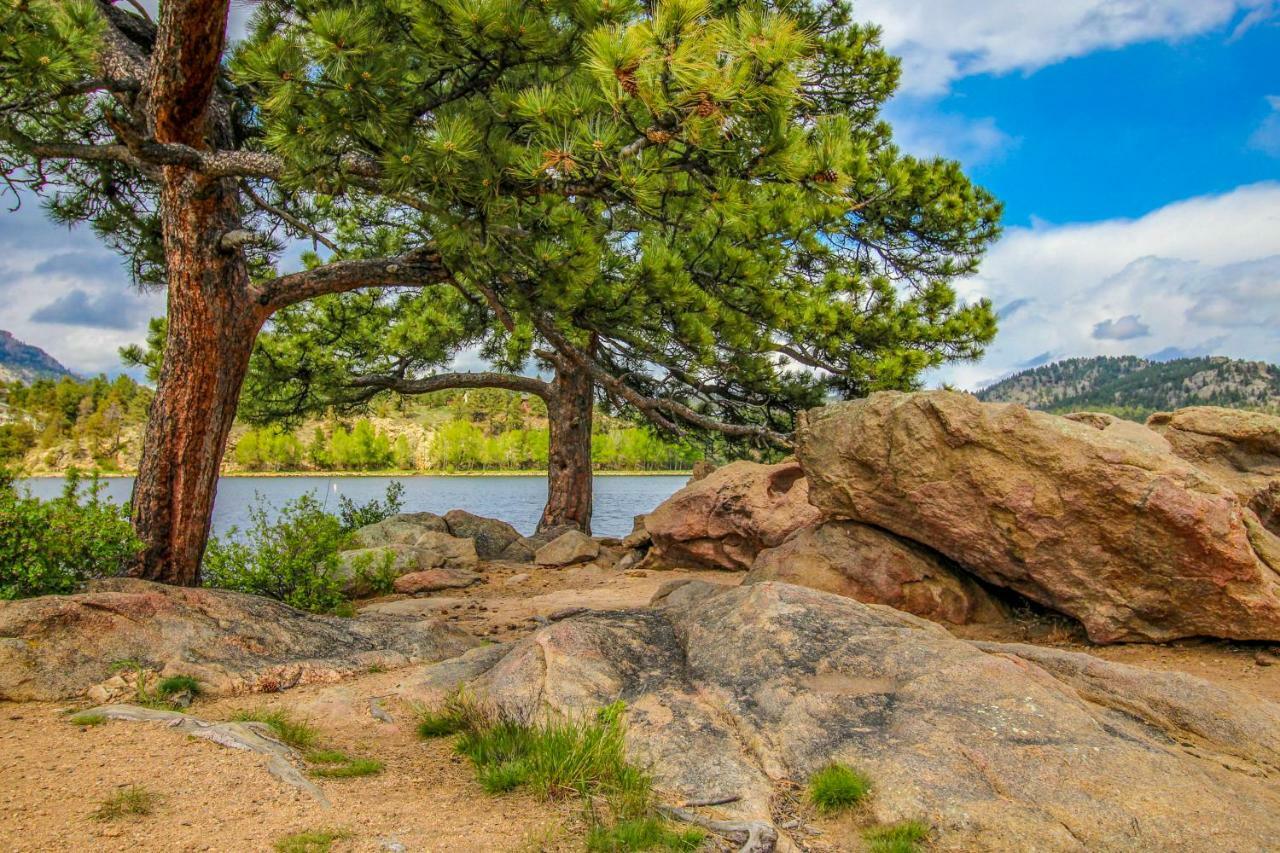 Quiet In The Pines - Permit #3120 Estes Park Exterior foto